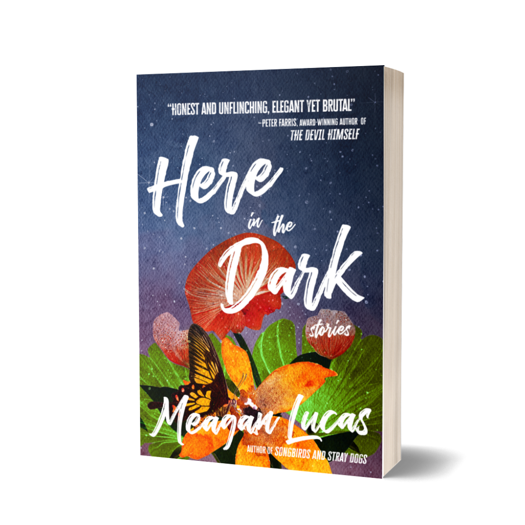 Here in the Dark: Stories
